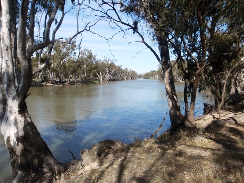 290 Calimo Rd, Deniliquin NSW 2710
