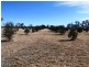 290 Calimo Rd, Deniliquin NSW 2710