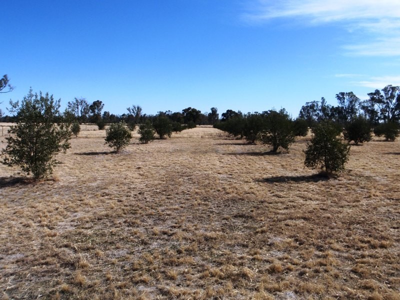 290 Calimo Rd, Deniliquin NSW 2710