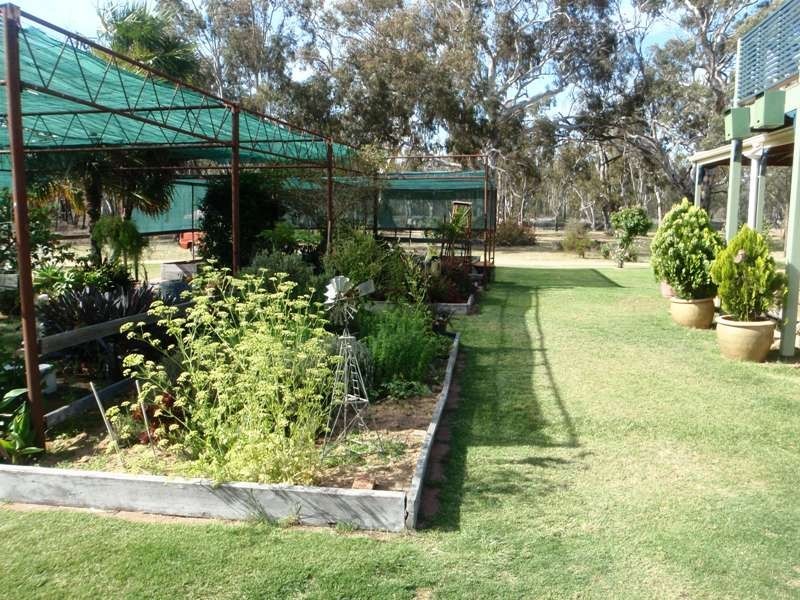 290 Calimo Rd, Deniliquin NSW 2710