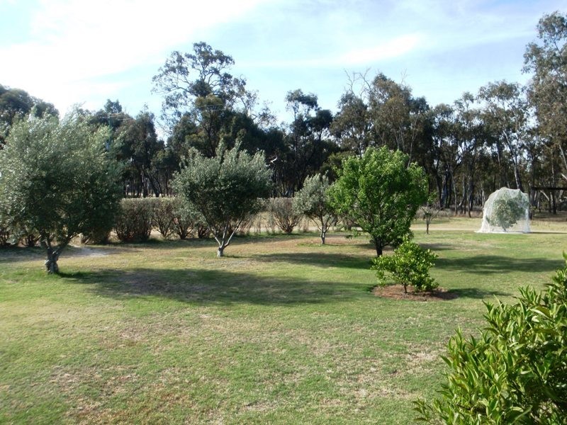 290 Calimo Rd, Deniliquin NSW 2710