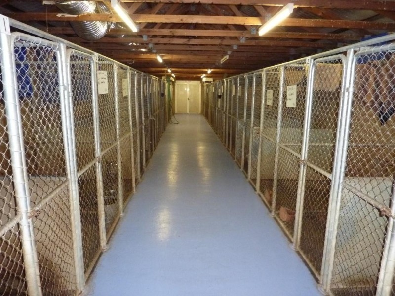 12 Gelston Park Road, Wagga Wagga NSW 2650