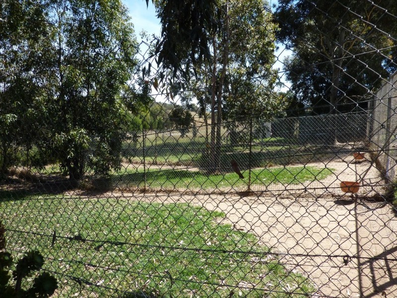 12 Gelston Park Road, Wagga Wagga NSW 2650