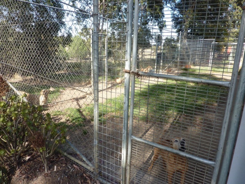 12 Gelston Park Road, Wagga Wagga NSW 2650