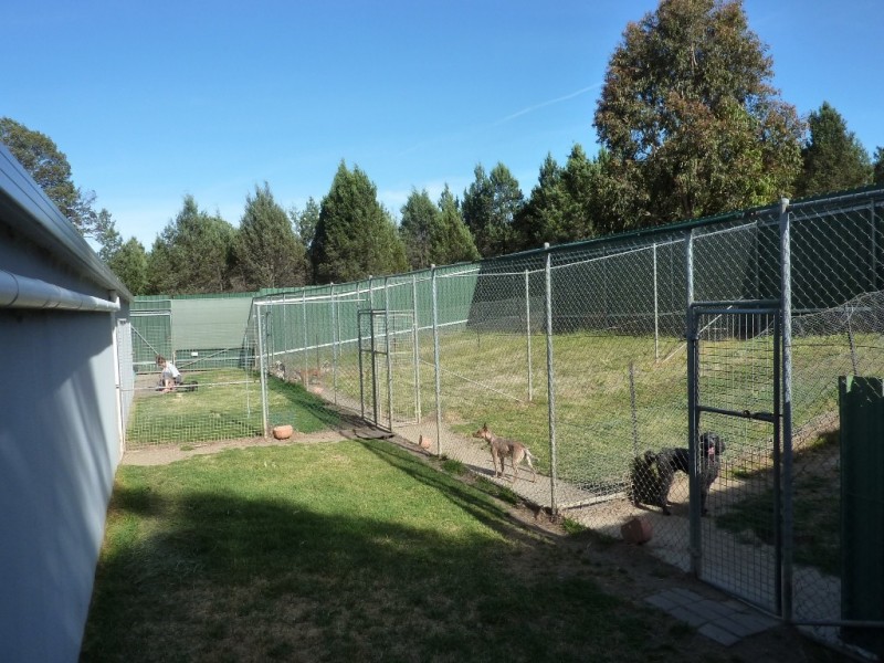 12 Gelston Park Road, Wagga Wagga NSW 2650