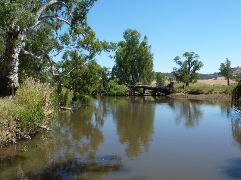 836 Sturt Highway, Wagga Wagga NSW 2650