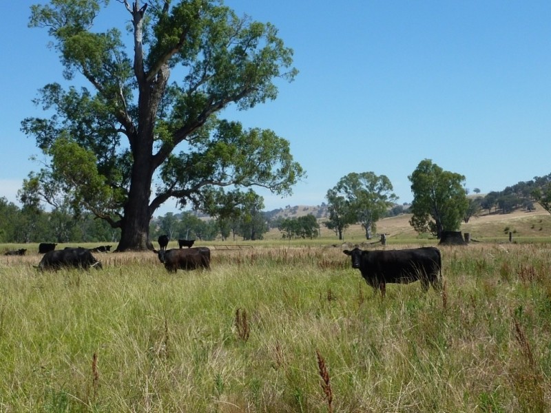 836 Sturt Highway, Wagga Wagga NSW 2650