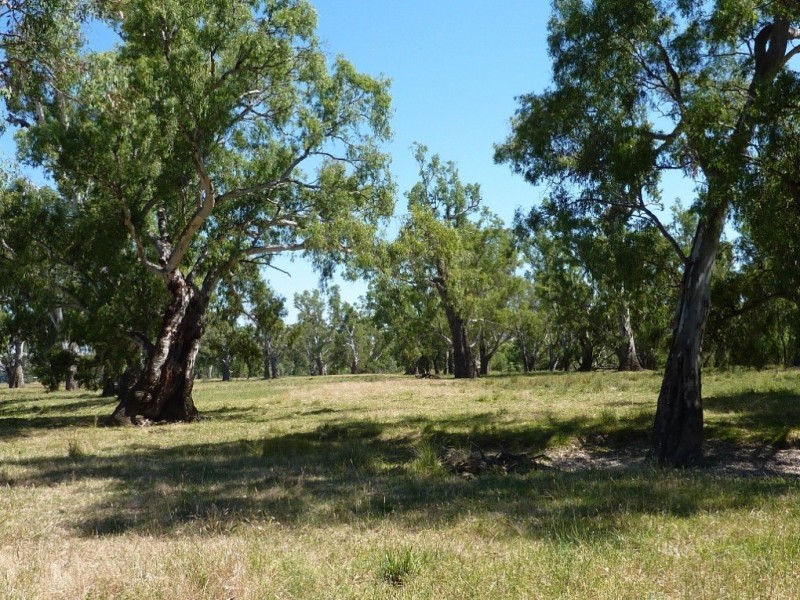 836 Sturt Highway, Wagga Wagga NSW 2650