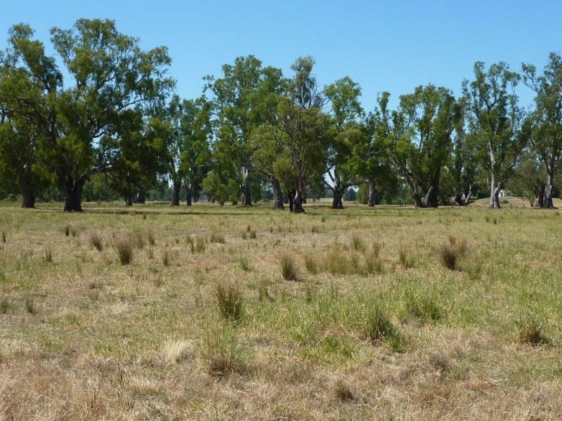 836 Sturt Highway, Wagga Wagga NSW 2650