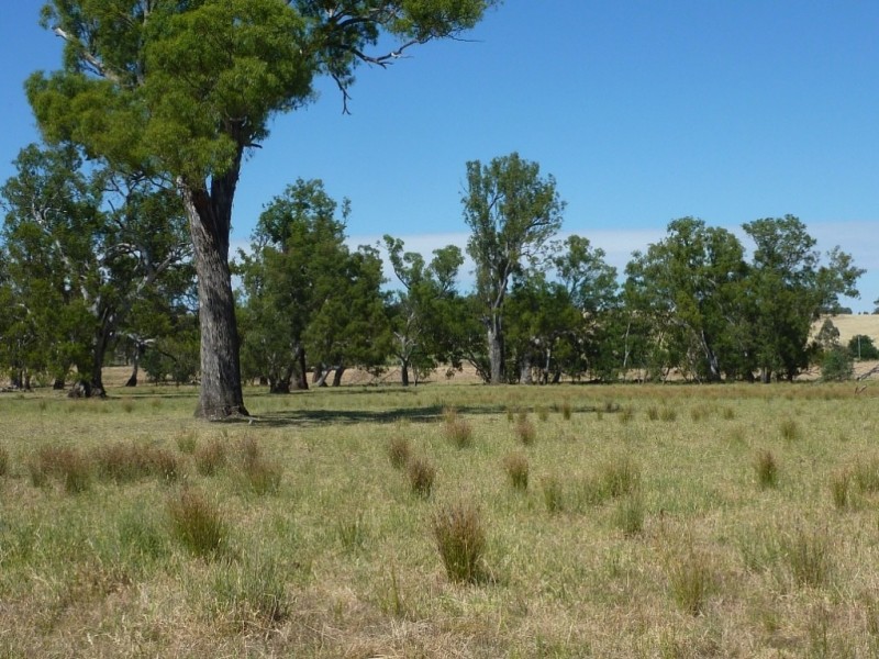 836 Sturt Highway, Wagga Wagga NSW 2650