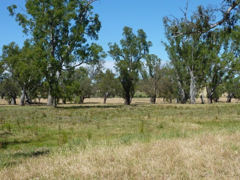 836 Sturt Highway, Wagga Wagga NSW 2650