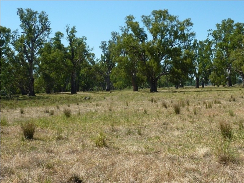 836 Sturt Highway, Wagga Wagga NSW 2650