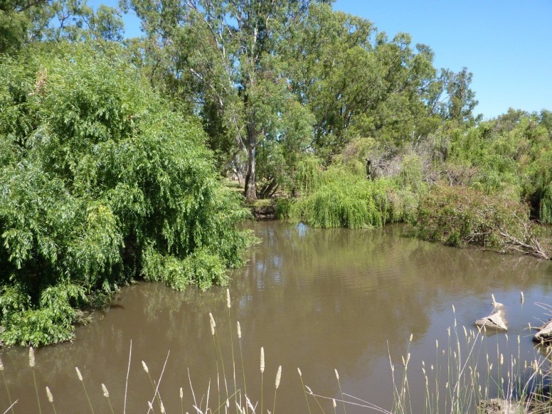 836 Sturt Highway, Wagga Wagga NSW 2650