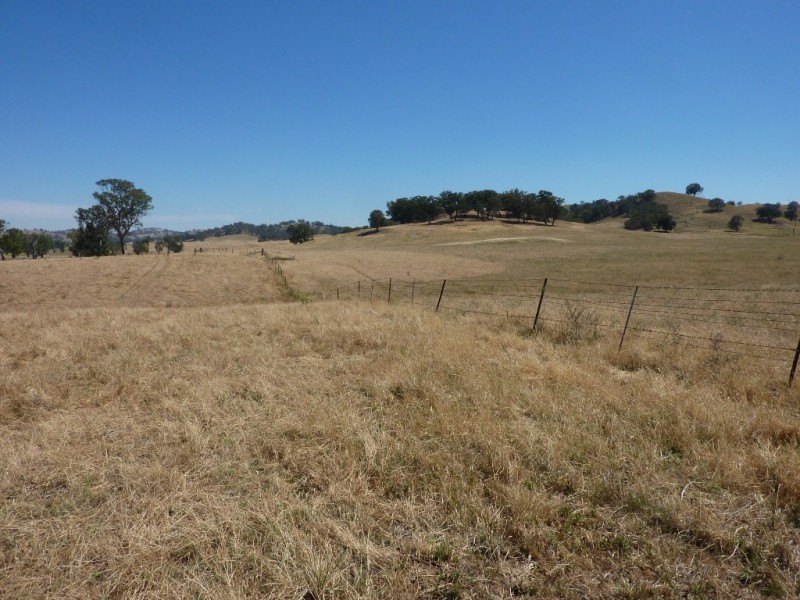 836 Sturt Highway, Wagga Wagga NSW 2650