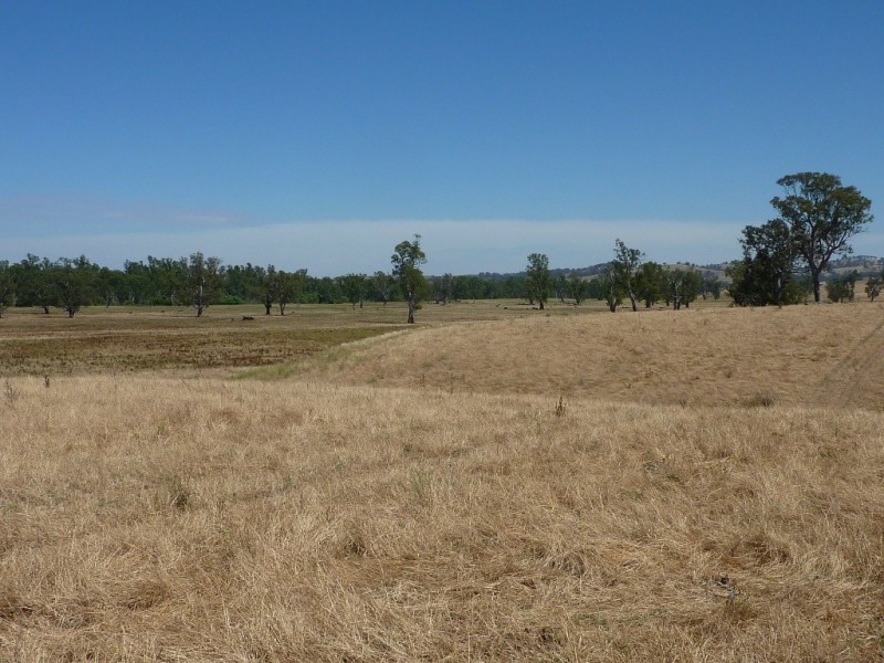 836 Sturt Highway, Wagga Wagga NSW 2650