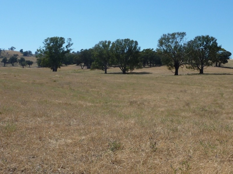 836 Sturt Highway, Wagga Wagga NSW 2650