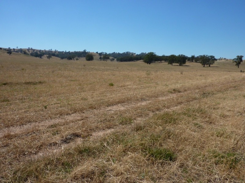 836 Sturt Highway, Wagga Wagga NSW 2650