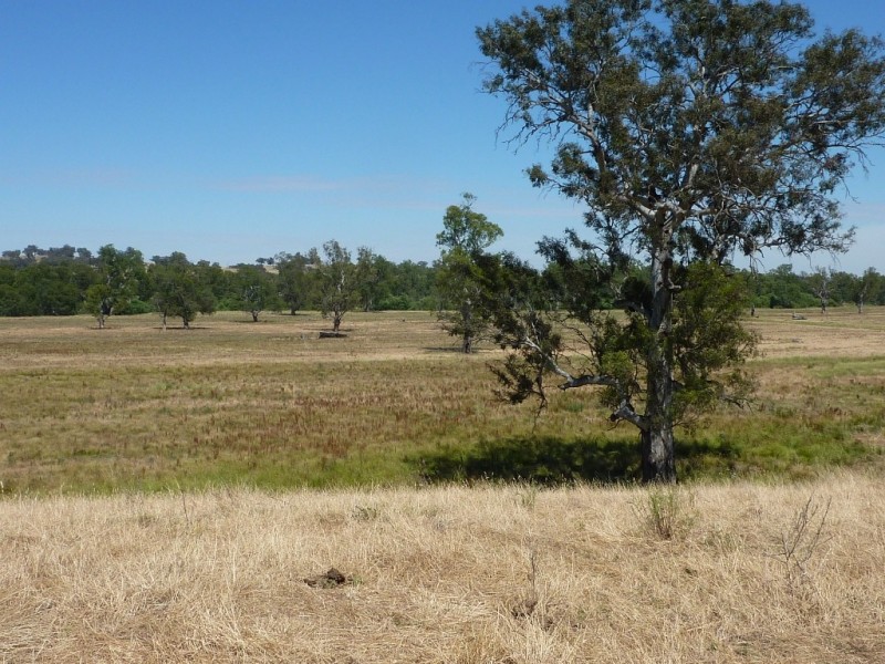 836 Sturt Highway, Wagga Wagga NSW 2650