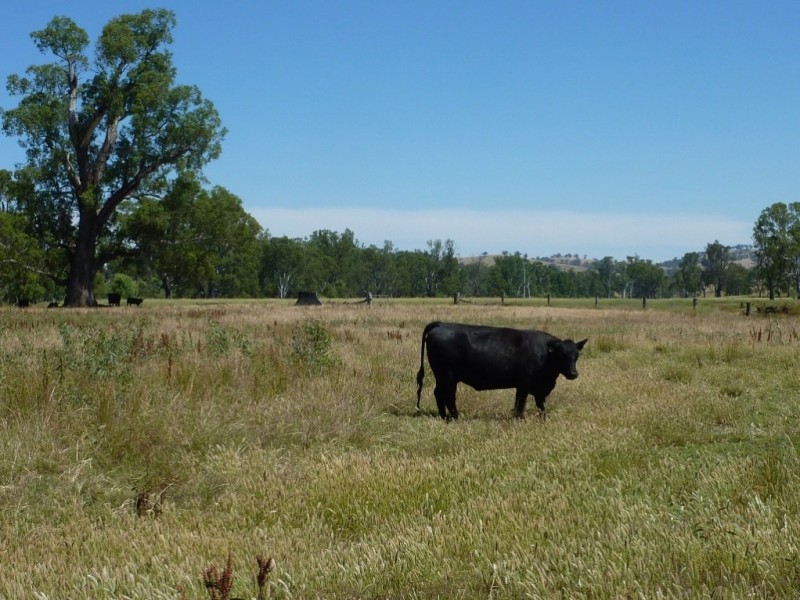 836 Sturt Highway, Wagga Wagga NSW 2650