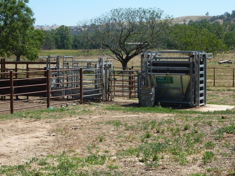 836 Sturt Highway, Wagga Wagga NSW 2650