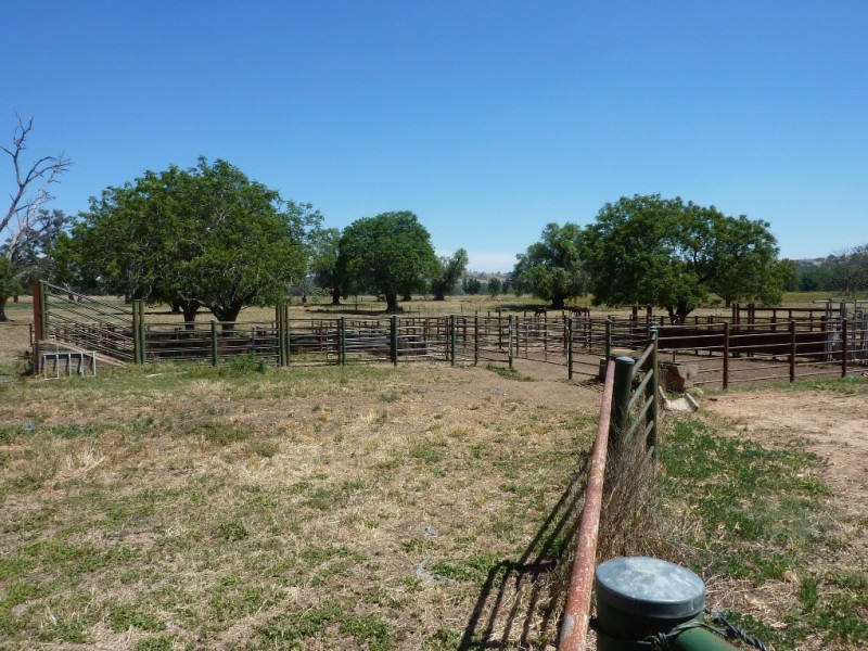 836 Sturt Highway, Wagga Wagga NSW 2650