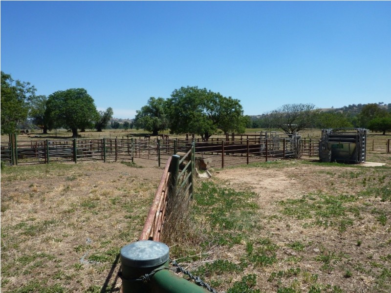 836 Sturt Highway, Wagga Wagga NSW 2650