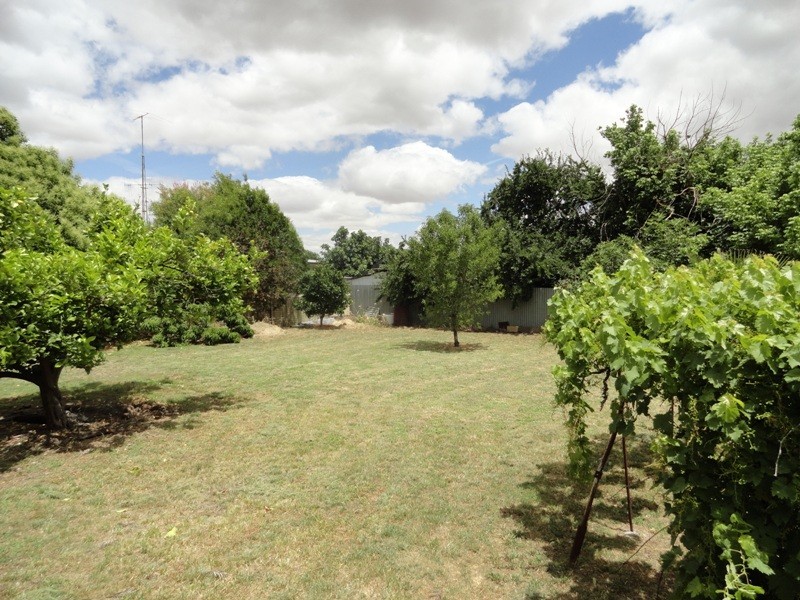 4 Scholz Street, Walla Walla NSW 2659