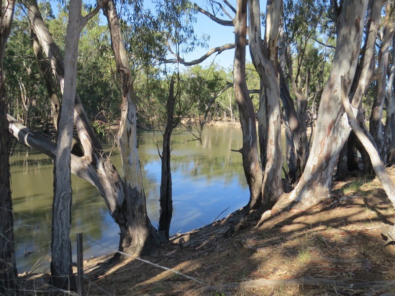 1 Deniliquin Road, Moulamein NSW 2733