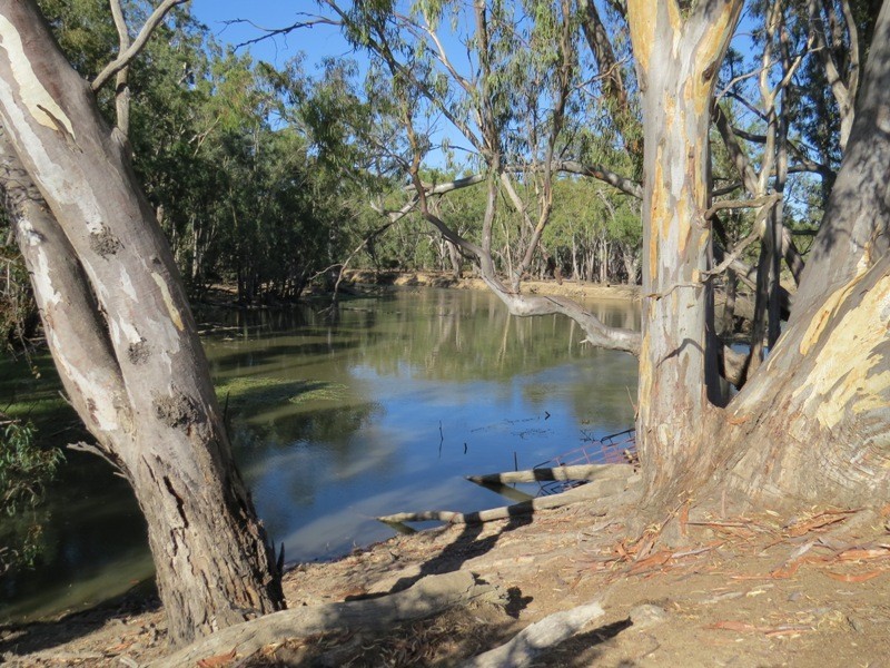 1 Deniliquin Road, Moulamein NSW 2733