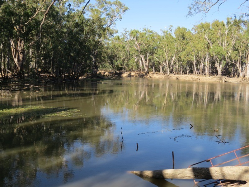 1 Deniliquin Road, Moulamein NSW 2733