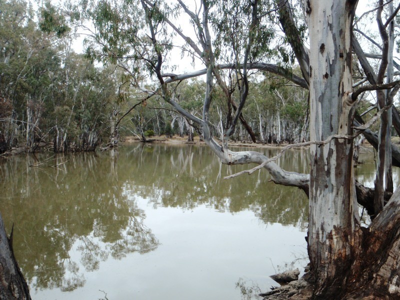 1 Deniliquin Road, Moulamein NSW 2733