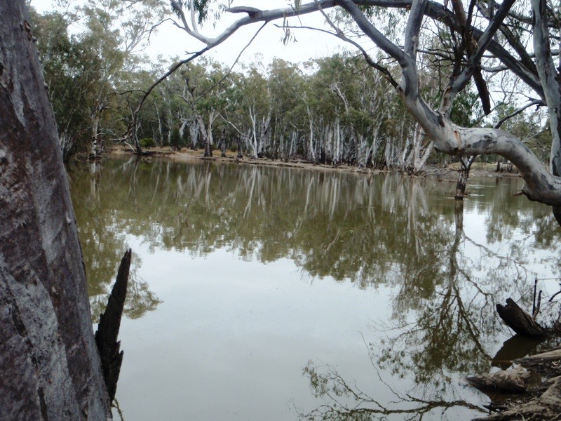 1 Deniliquin Road, Moulamein NSW 2733