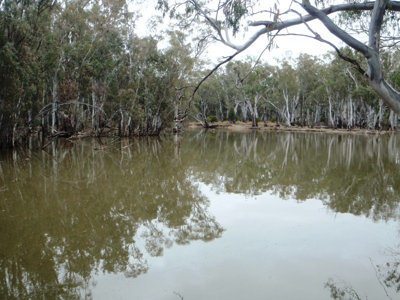 1 Deniliquin Road, Moulamein NSW 2733