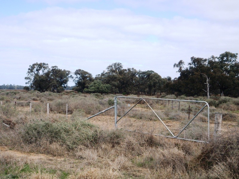 1 Deniliquin Road, Moulamein NSW 2733