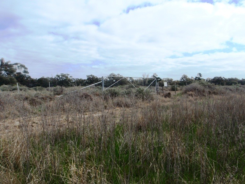 1 Deniliquin Road, Moulamein NSW 2733