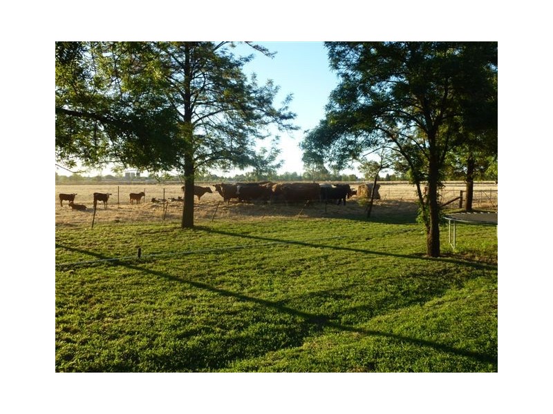 Lot 57 Riverina Highway, Finley NSW 2713