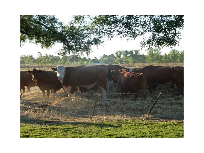 Lot 57 Riverina Highway, Finley NSW 2713