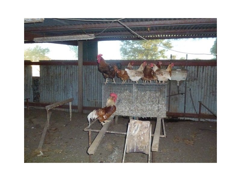 Lot 57 Riverina Highway, Finley NSW 2713