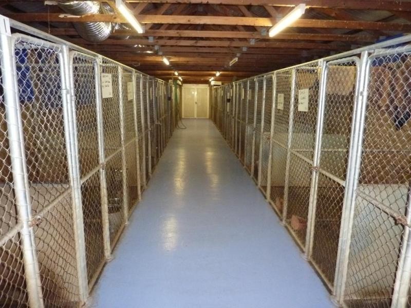 Wagga Wagga NSW 2650