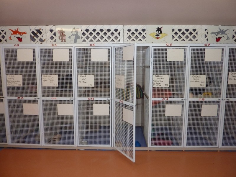 Wagga Wagga NSW 2650