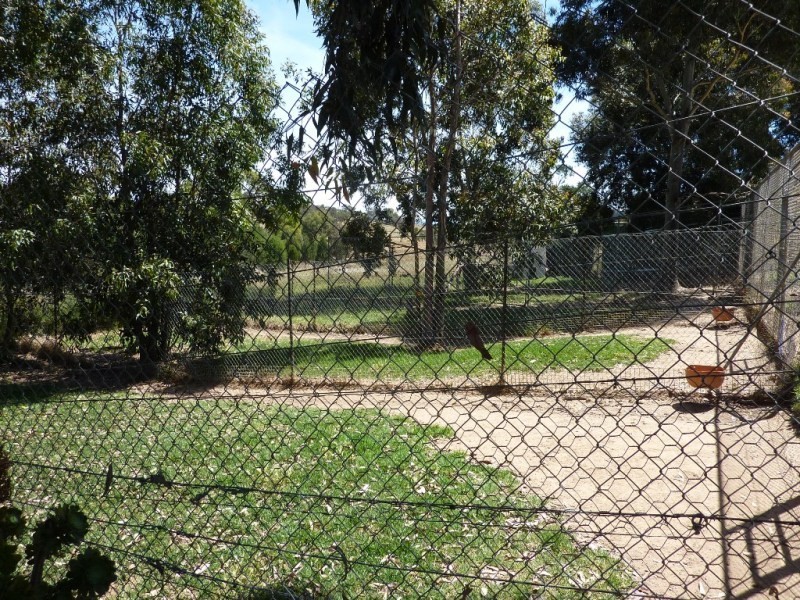 Wagga Wagga NSW 2650