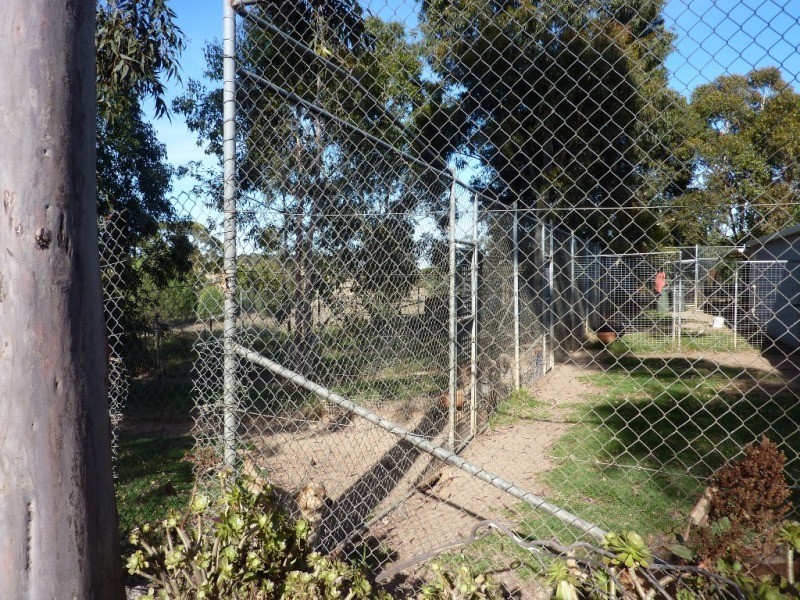 Wagga Wagga NSW 2650