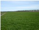 139 Willows Road, Jerilderie NSW 2716
