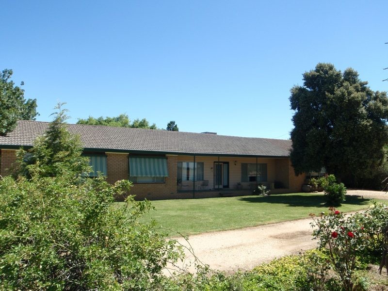 139 Willows Road, Jerilderie NSW 2716