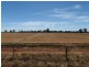139 Willows Road, Jerilderie NSW 2716
