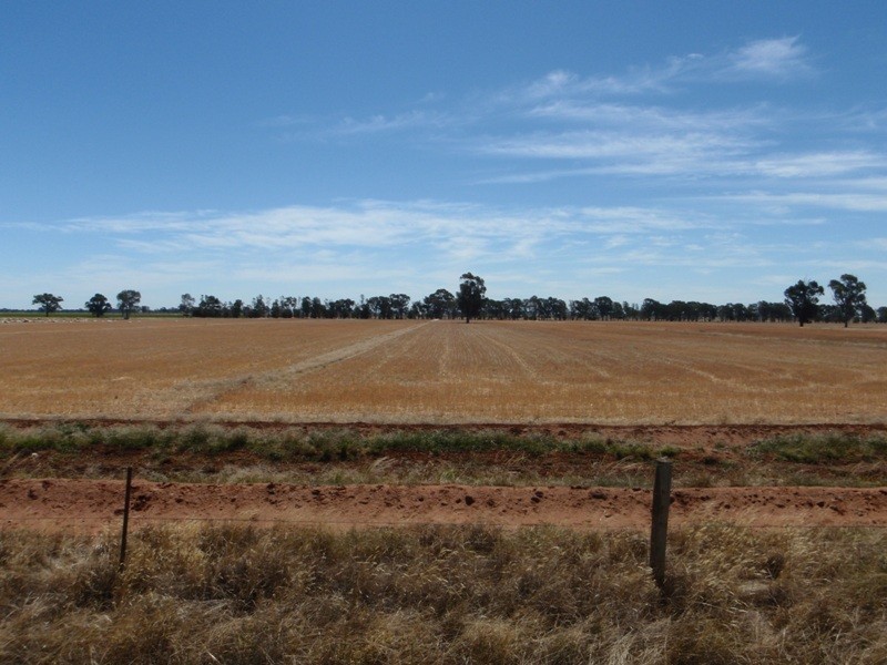 139 Willows Road, Jerilderie NSW 2716