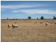 139 Willows Road, Jerilderie NSW 2716