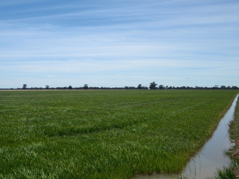 139 Willows Road, Jerilderie NSW 2716