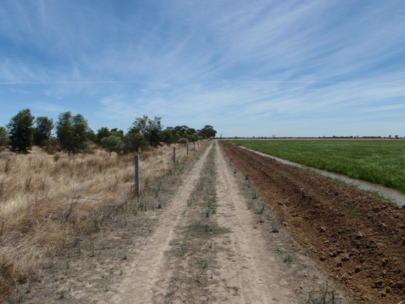 139 Willows Road, Jerilderie NSW 2716