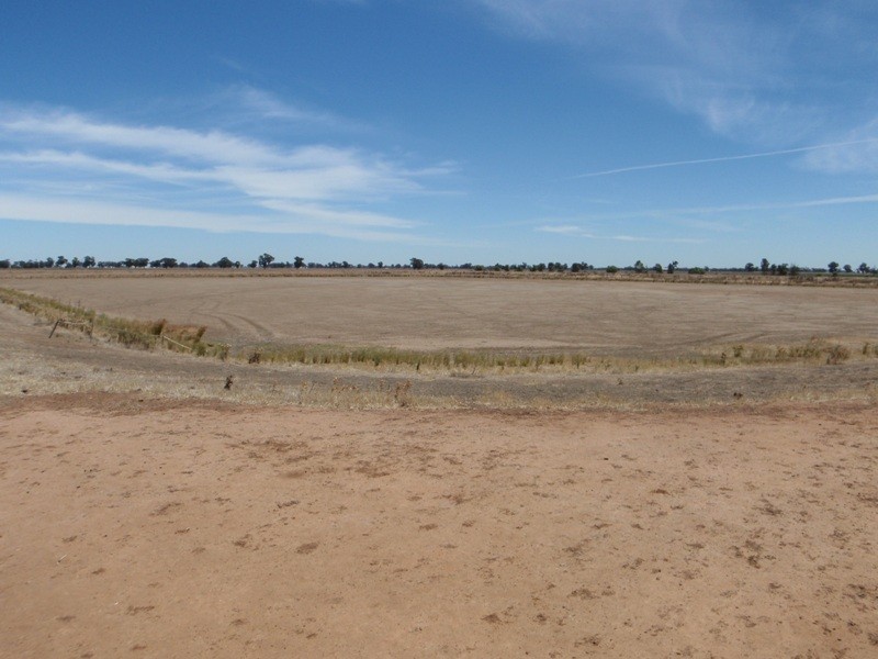 139 Willows Road, Jerilderie NSW 2716